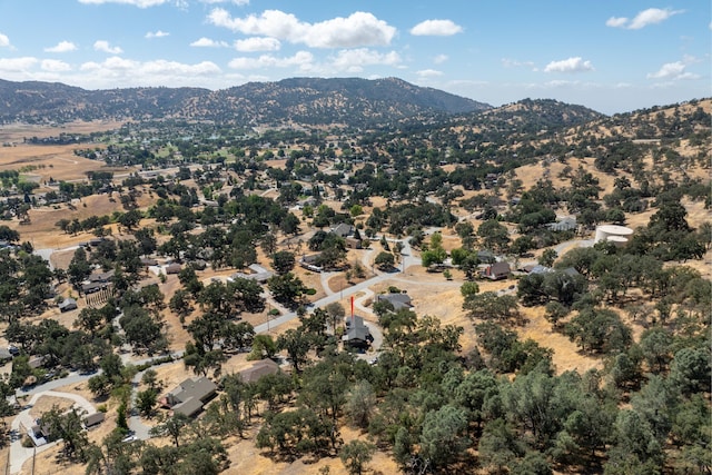 drone / aerial view featuring a mountain view