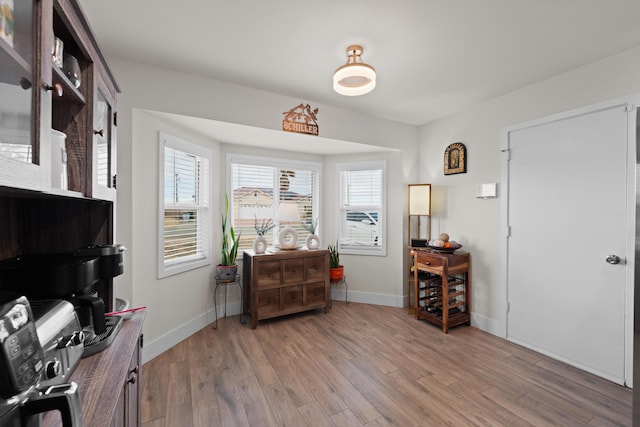 interior space featuring baseboards and light wood-style floors