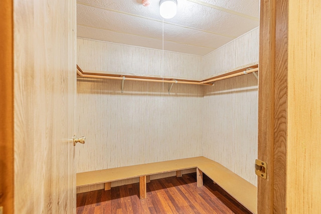 spacious closet featuring dark hardwood / wood-style floors