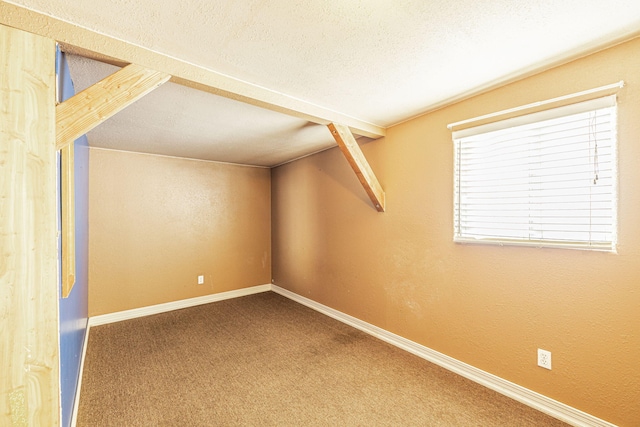 additional living space featuring carpet flooring and a textured ceiling