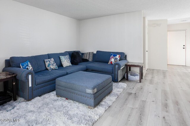 425 W W Ave J5, Unit 37, Lancaster, CA 93534 - living room featuring wood finished floors and a textured ceiling