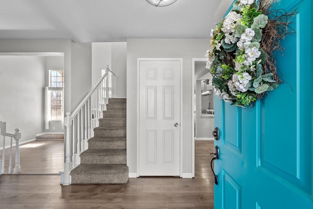 entrance foyer featuring dark hardwood / wood-style flooring