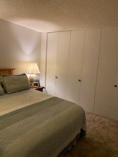42925 W 15th St Unit 6, Lancaster, CA 93534 - bedroom with carpet flooring, a closet, and a decorative wall