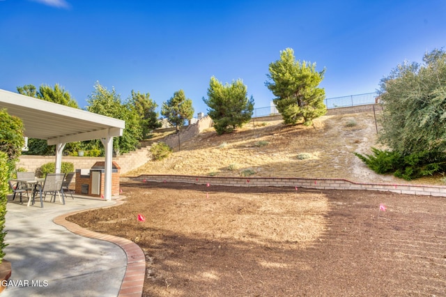 1306 Date Palm Dr, Palmdale, CA 93551 - view of yard featuring a patio area