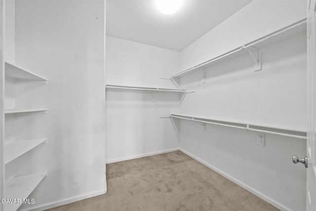 38160 Antibes Dr, Palmdale, CA 93552 - walk in closet with carpet floors