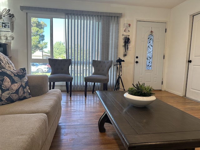 living room featuring wood-type flooring