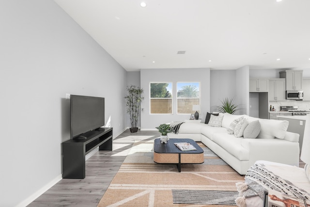 living room featuring hardwood / wood-style floors