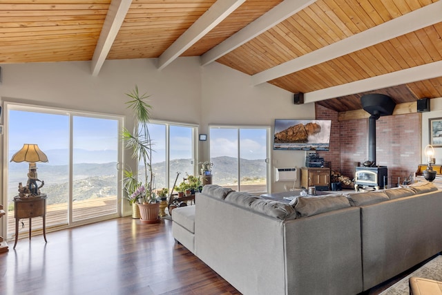 23761 El Rancho Dr, Tehachapi, CA 93561 - living room with a wood stove, dark wood-style floors, and a wall mounted air conditioner