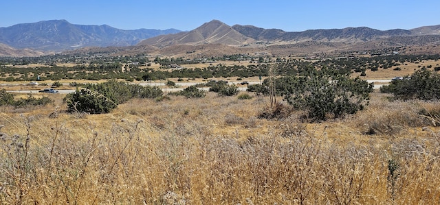 Sierra Hwy, Acton, CA 93510 - photo 1