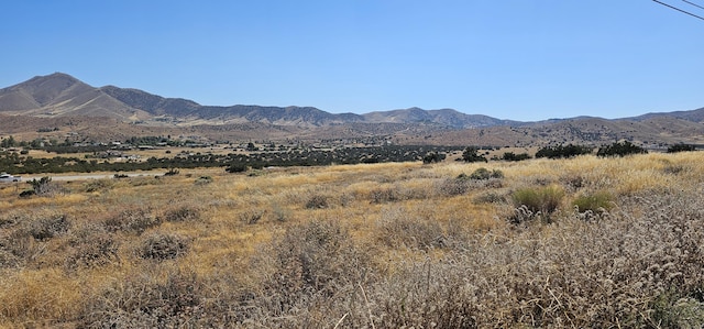 Sierra Hwy, Acton, CA 93510 - photo 7