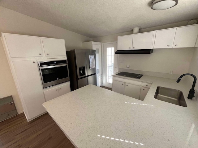 kitchen with lofted ceiling, sink, appliances with stainless steel finishes, white cabinets, and dark hardwood / wood-style flooring