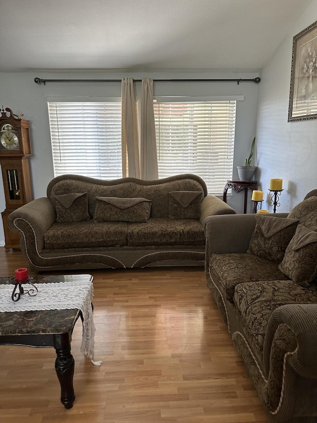 living room featuring light wood-type flooring