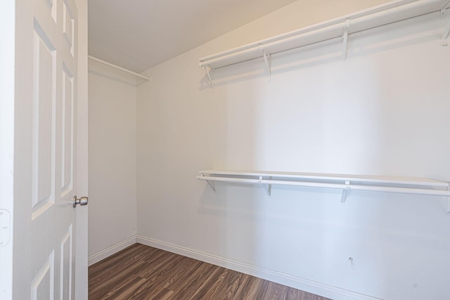 walk in closet featuring dark wood-type flooring