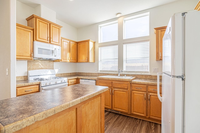 kitchen with dark hardwood / wood-style flooring, sink, and white appliances