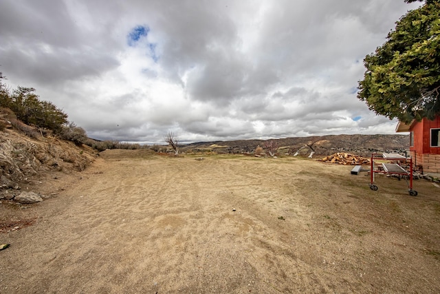 40005 W 92nd St Unit W, Leona Valley, CA 93551 - view of yard