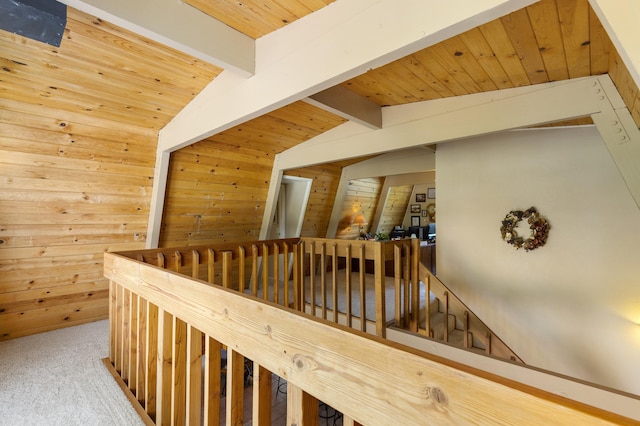 hall with carpet, vaulted ceiling with beams, wooden ceiling, and wood walls