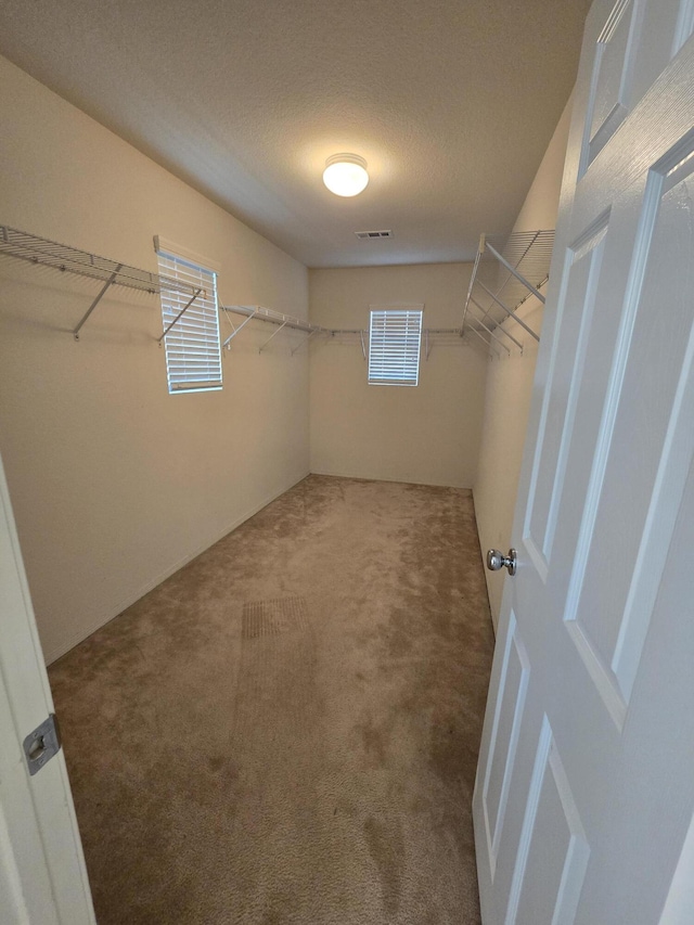 37515 Ruby Red Ln, Palmdale, CA 93551 - spacious closet with carpet flooring