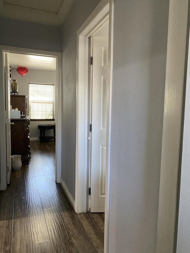 hallway featuring dark wood finished floors and baseboards