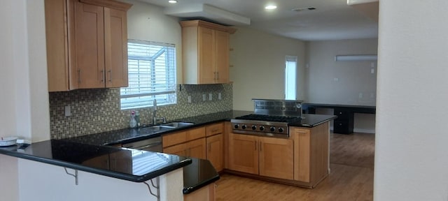 kitchen featuring a peninsula, light wood finished floors, dark countertops, appliances with stainless steel finishes, and a sink