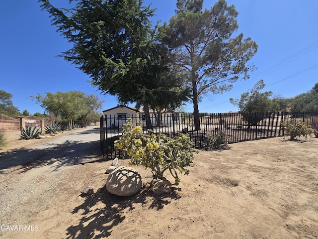 4102 Pearblossom Hwy, Palmdale, CA 93552 - view of yard