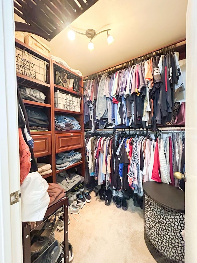 walk in closet with carpet