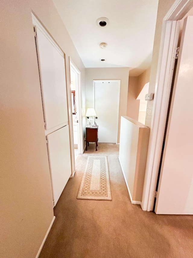 hallway with carpet flooring