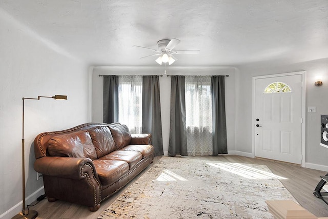 living room with ceiling fan and light hardwood / wood-style flooring