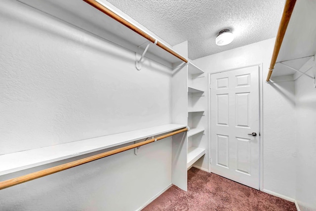 spacious closet with carpet flooring