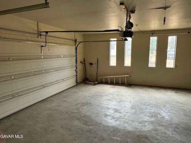 28714 Cruthers Creek Rd, Pearblossom, CA 93553 - garage with a garage door opener