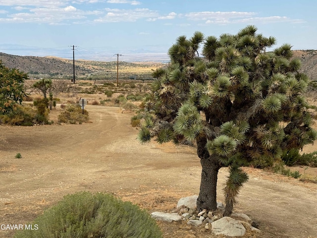 28714 Cruthers Creek Rd, Pearblossom, CA 93553 - view of mountain backdrop