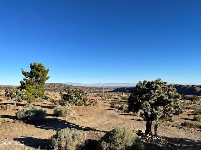 28714 Cruthers Creek Rd, Pearblossom, CA 93553 - view of mountain background with rural landscape