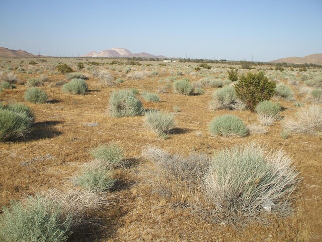 000 N Vim, Rosamond, CA 93560 - photo 7
