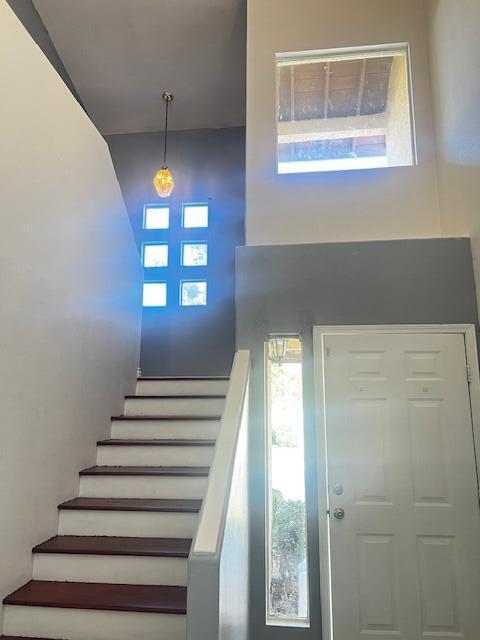 foyer entrance with a high ceiling