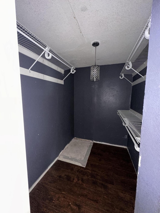 spacious closet with dark hardwood / wood-style flooring