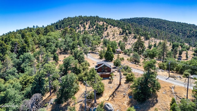 27001 Medicine Bow Ct, Tehachapi, CA 93561 - photo 27