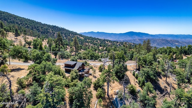 27001 Medicine Bow Ct, Tehachapi, CA 93561 - photo 28