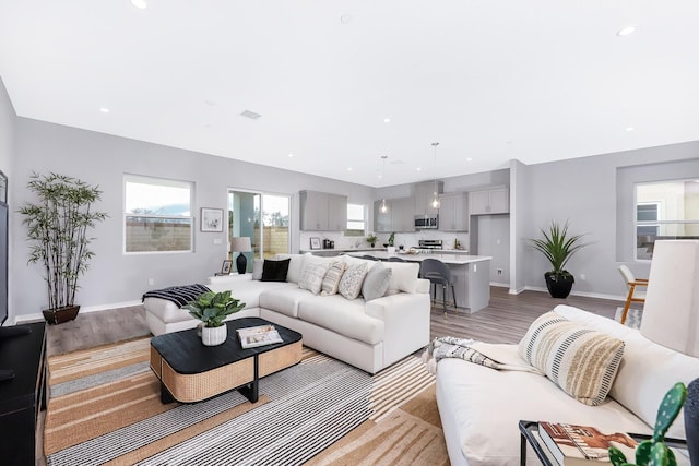 living room featuring light hardwood / wood-style floors and sink