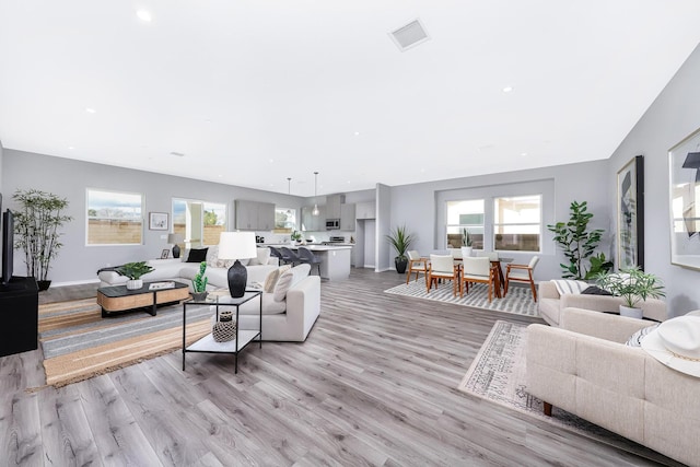 living room with light wood-type flooring and a wealth of natural light