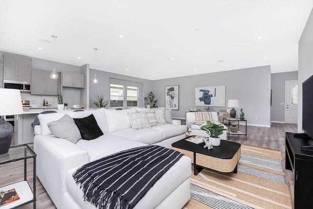 living room featuring light hardwood / wood-style flooring