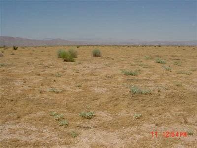 None, California City CA, 93505 land for sale