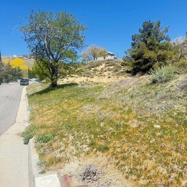 1 Johnson Rd, Lake Elizabeth, CA 93532 - photo 10