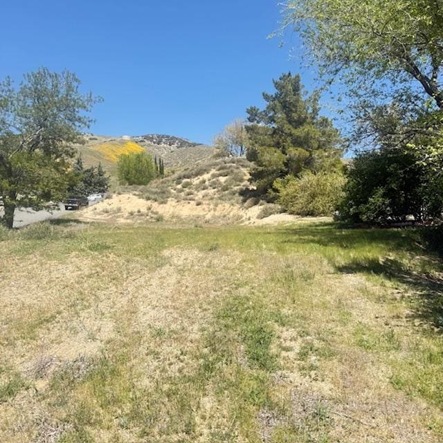 1 Johnson Rd, Lake Elizabeth, CA 93532 - photo 7