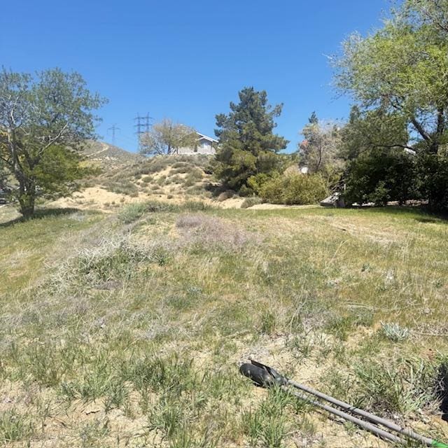 1 Johnson Rd, Lake Elizabeth, CA 93532 - photo 5
