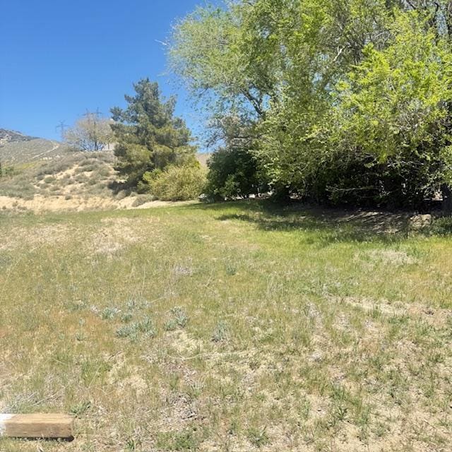 1 Johnson Rd, Lake Elizabeth, CA 93532 - photo 3