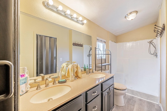 full bathroom featuring a sink, toilet, and a walk in shower