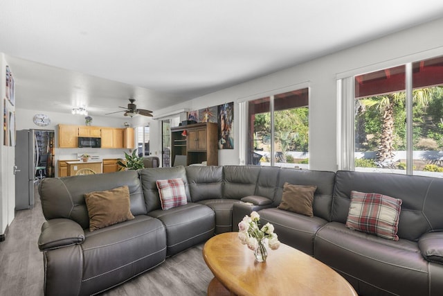42164 Valley Vista Dr, Lancaster, CA 93536 - living room featuring light wood-style flooring and a ceiling fan