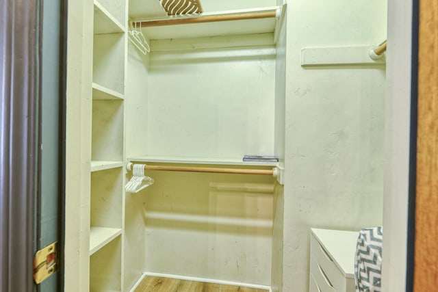 spacious closet featuring light hardwood / wood-style flooring