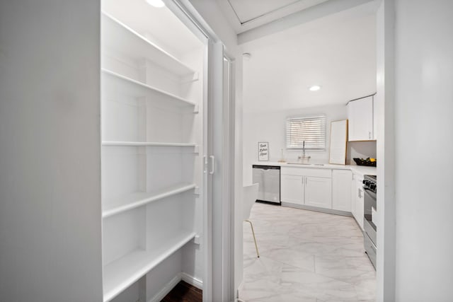 storage area with a sink