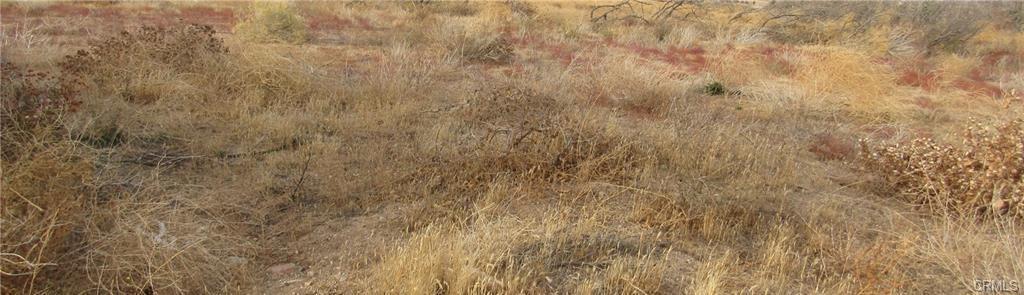04333001075 Twisselman Rd, Lost Hills, CA 93249 - photo 1