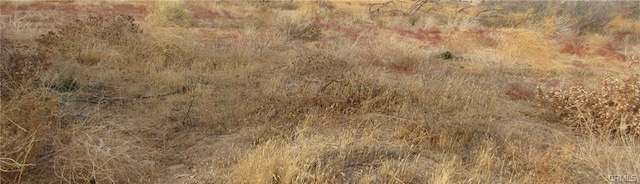 04333001075 Twisselman Rd, Lost Hills, CA 93249 - photo 1